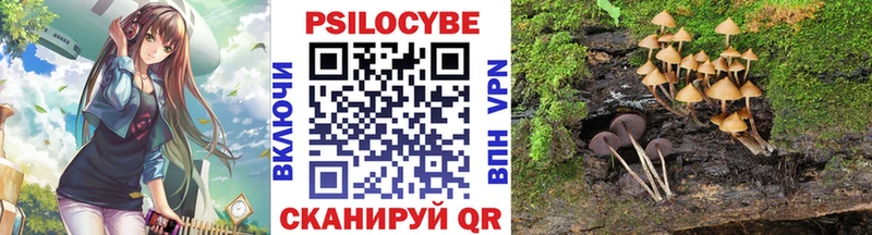 Псилоцибиновые грибы мухоморы  Купить  Курск 